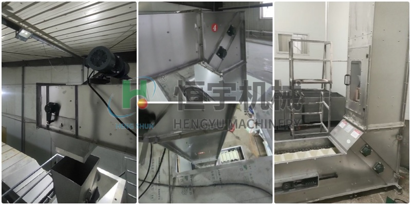 不锈钢z型斗式提升机大豆客户现场